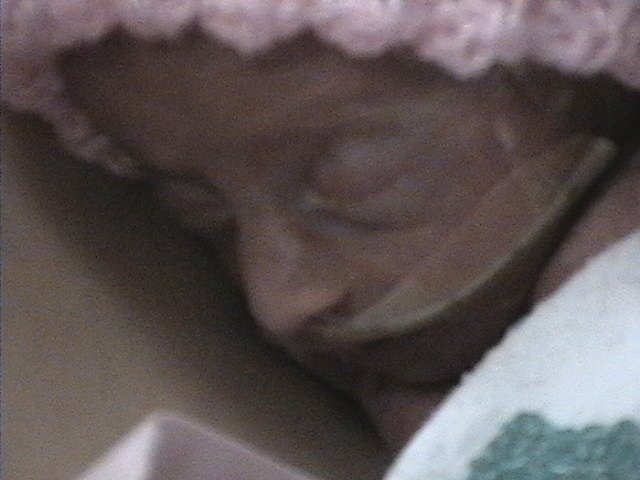 maggie7-29 (7)